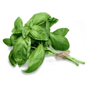 Albahaca Verde
