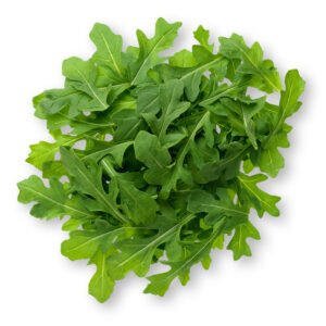 Arugula