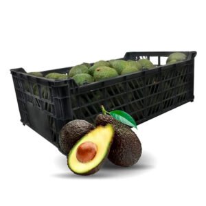 Aguacate Hass 30U