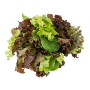 Lechuga Mixta