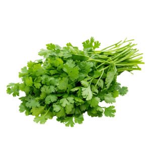 Perejil Liso